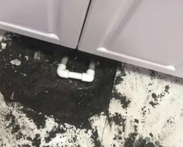 前郭尔罗斯查漏水哪家好