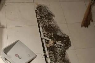 前郭尔罗斯卫生间漏水检测电话